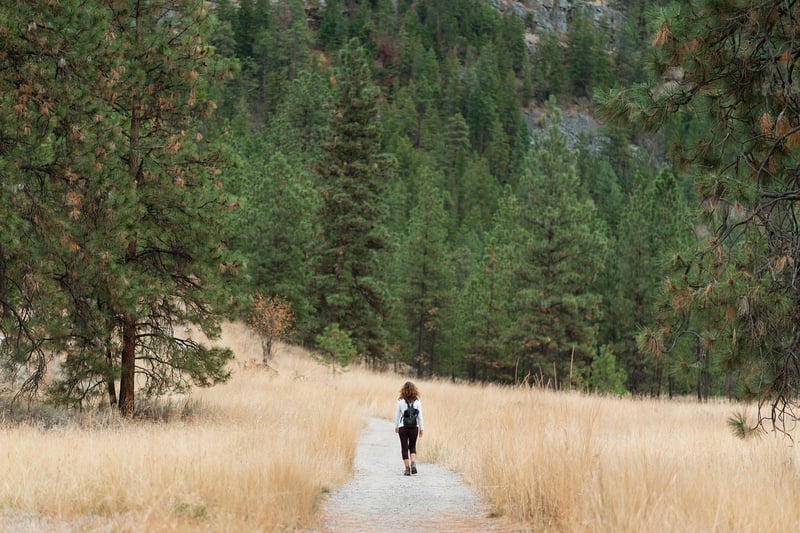 Mindful Walking